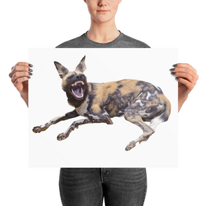 African-Wild-Dog Photo paper poster
