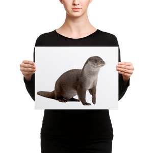 European-Otter Canvas