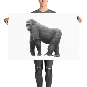 Gorilla Photo paper poster