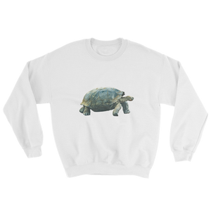 Galapagos-Giant-Turtle Print Sweatshirt