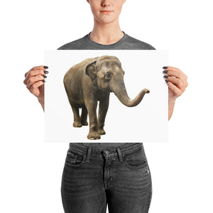 Indian-Elephant Photo paper poster