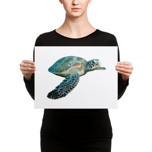Sea-Turtle- Canvas