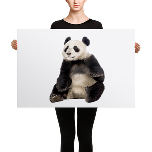 Giant-Panda Canvas