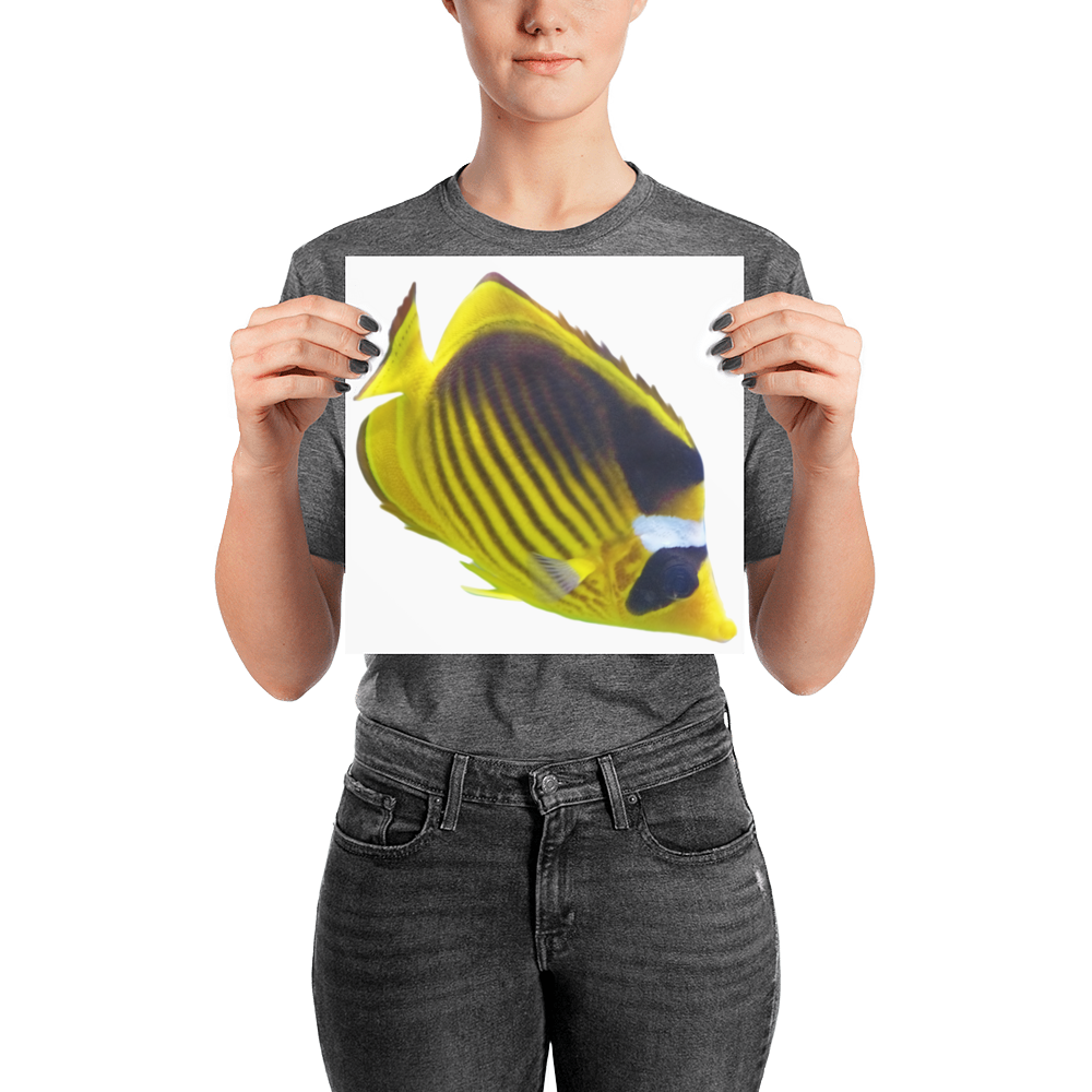 Butterfly-Fish Photo paper poster