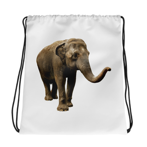 Indian-Elephant Print Drawstring bag