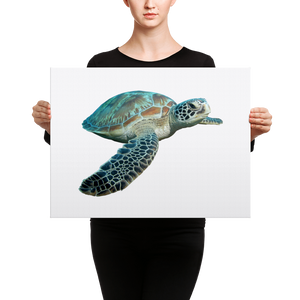 Sea-Turtle- Canvas
