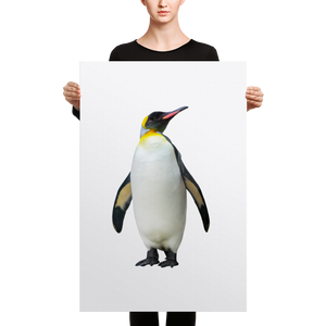 Emperor-Penguin Canvas