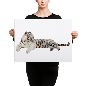 White-Tiger Canvas