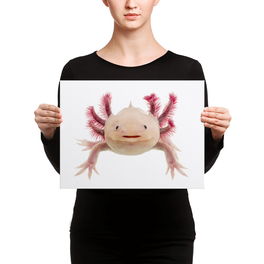 Axolotle Canvas
