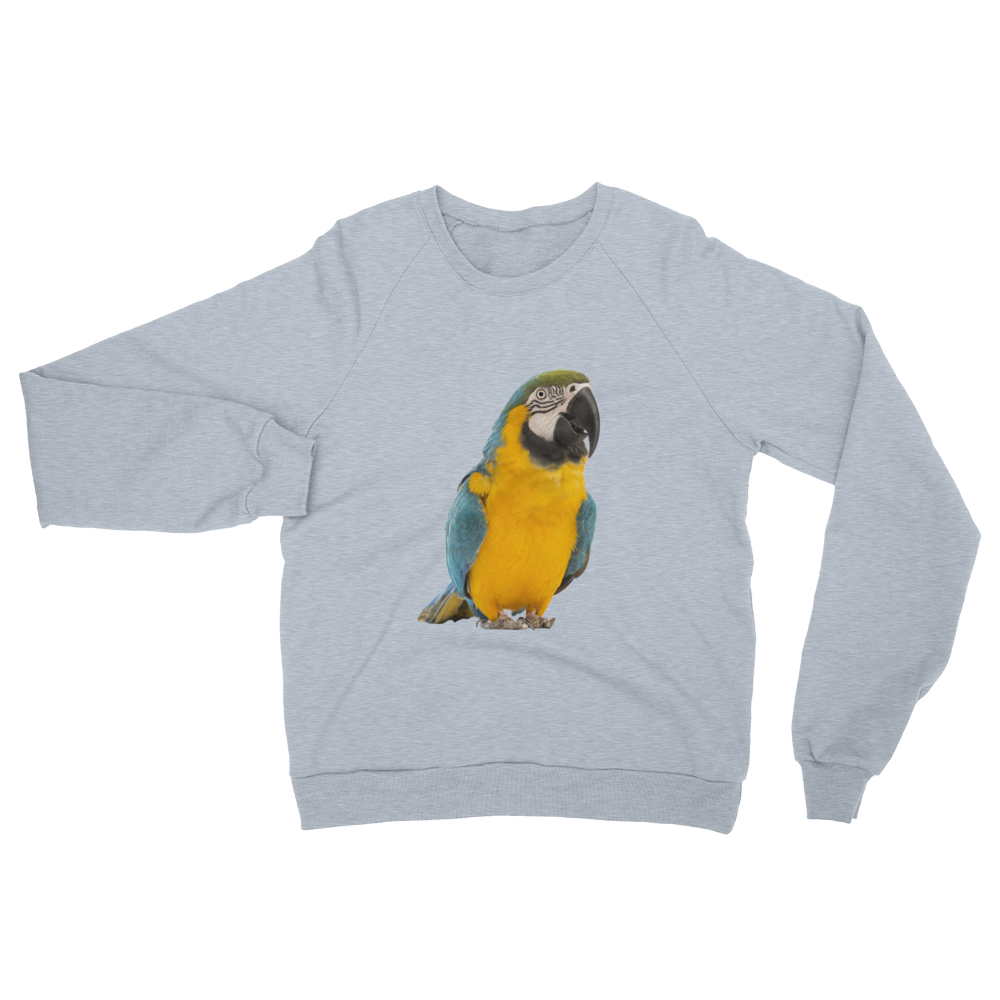 Macaw- print Unisex California Fleece Raglan Sweatshirt