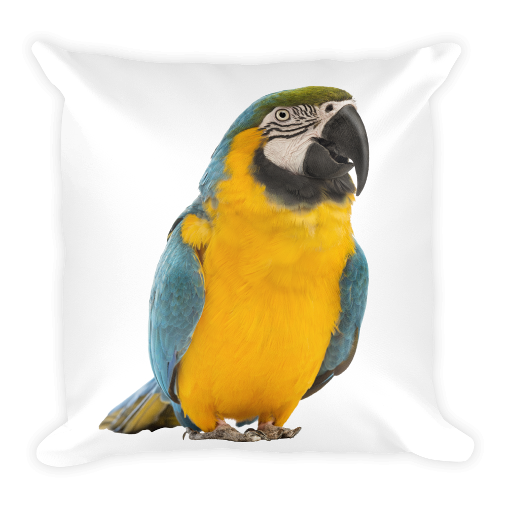 Macaw Print Square Pillow