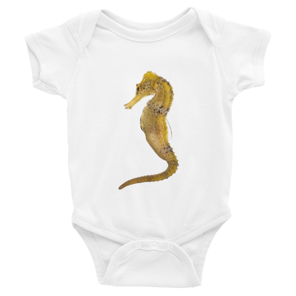 Seahorse Print Infant Bodysuit