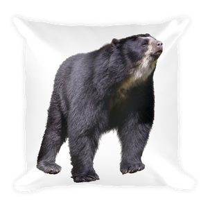 Specticaled-Bear Print Square Pillow