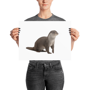 European-Otter Photo paper poster