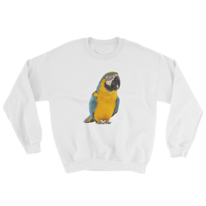 Macaw Print Sweatshirt