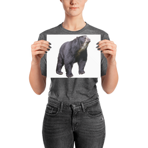Specticaled-Bear Photo paper poster