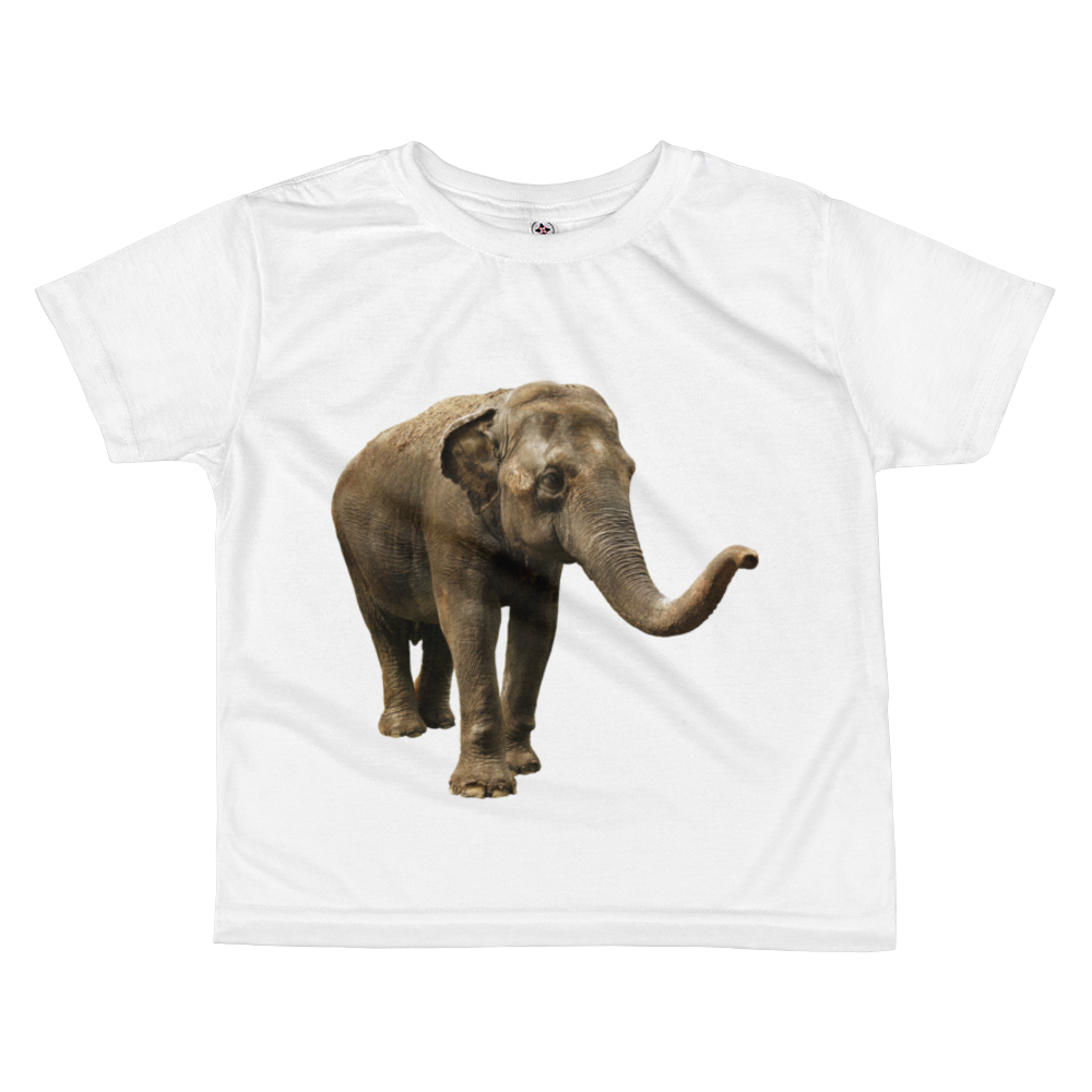 Indian-Elephant- Print All-over kids sublimation T-shirt