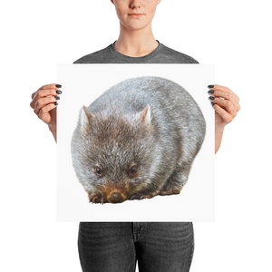 Wombat Photo paper poster