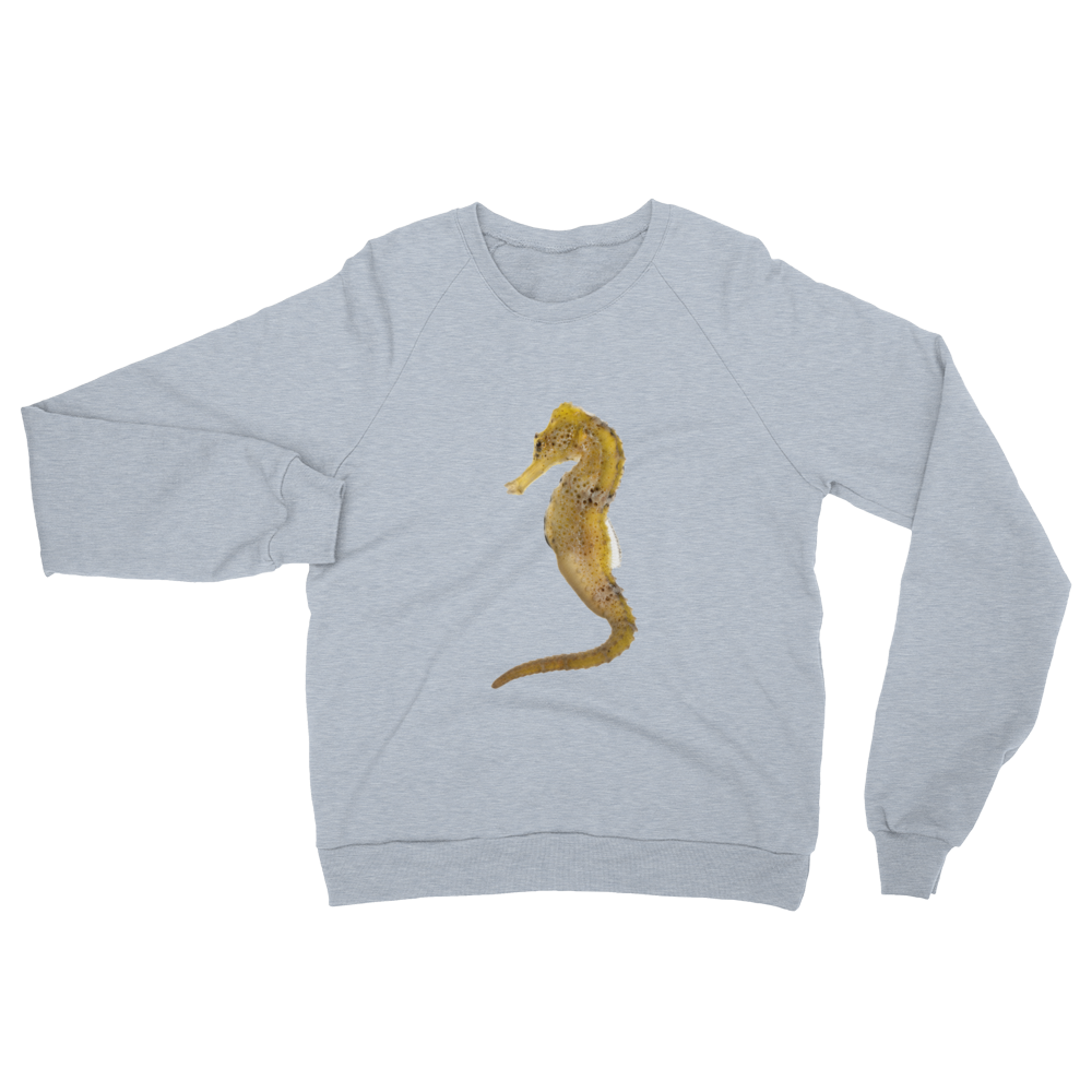 Seahorse print Unisex California Fleece Raglan Sweatshirt