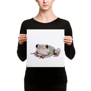 Tarsier-Frog Canvas