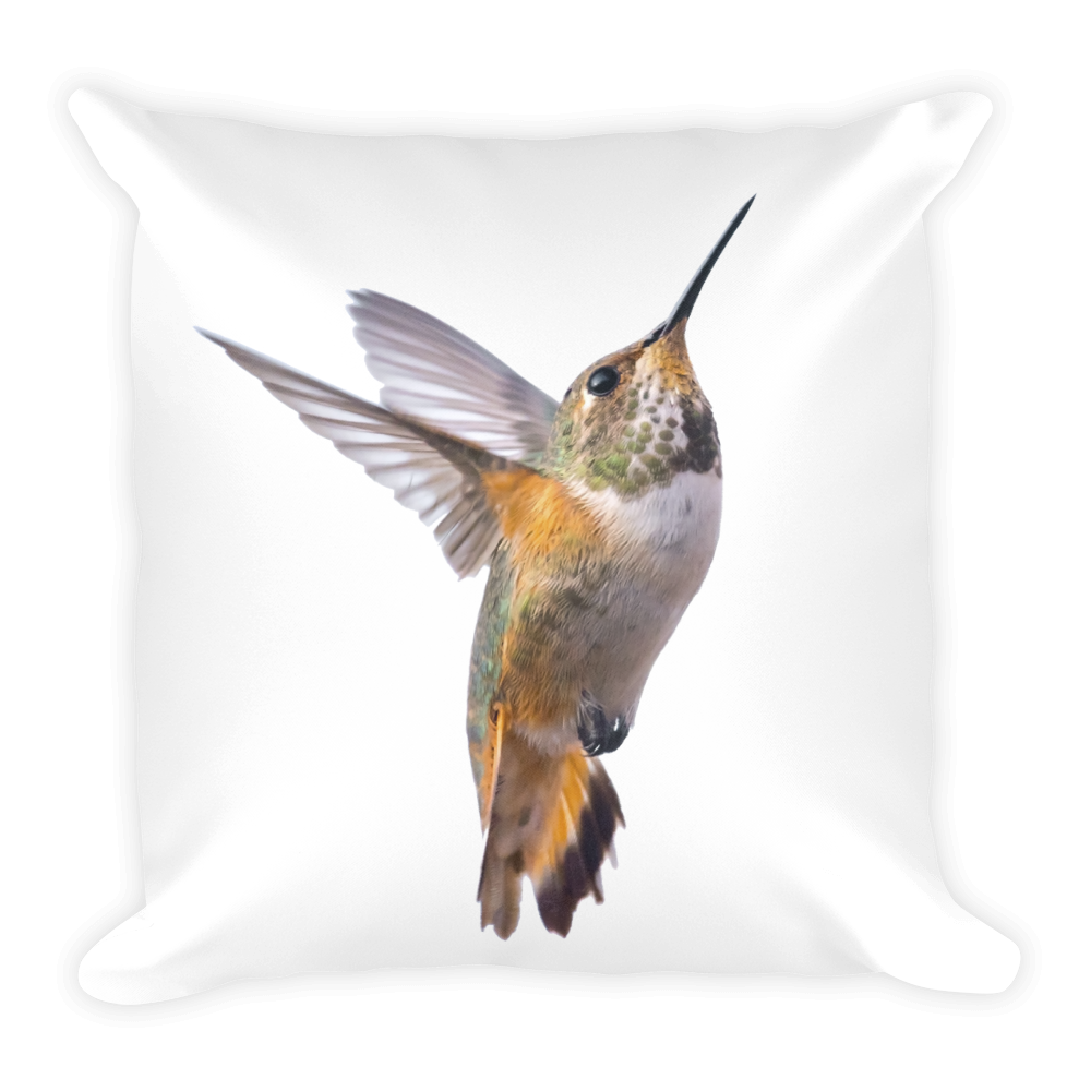 Hummingbird Print Square Pillow