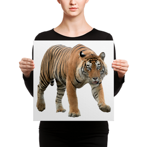 Bengal-Tiger Canvas