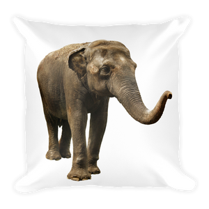 Indian-Elephant Print Square Pillow