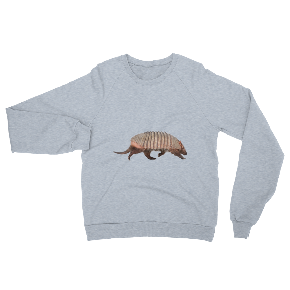Armadillo Print Unisex California Fleece Raglan Sweatshirt