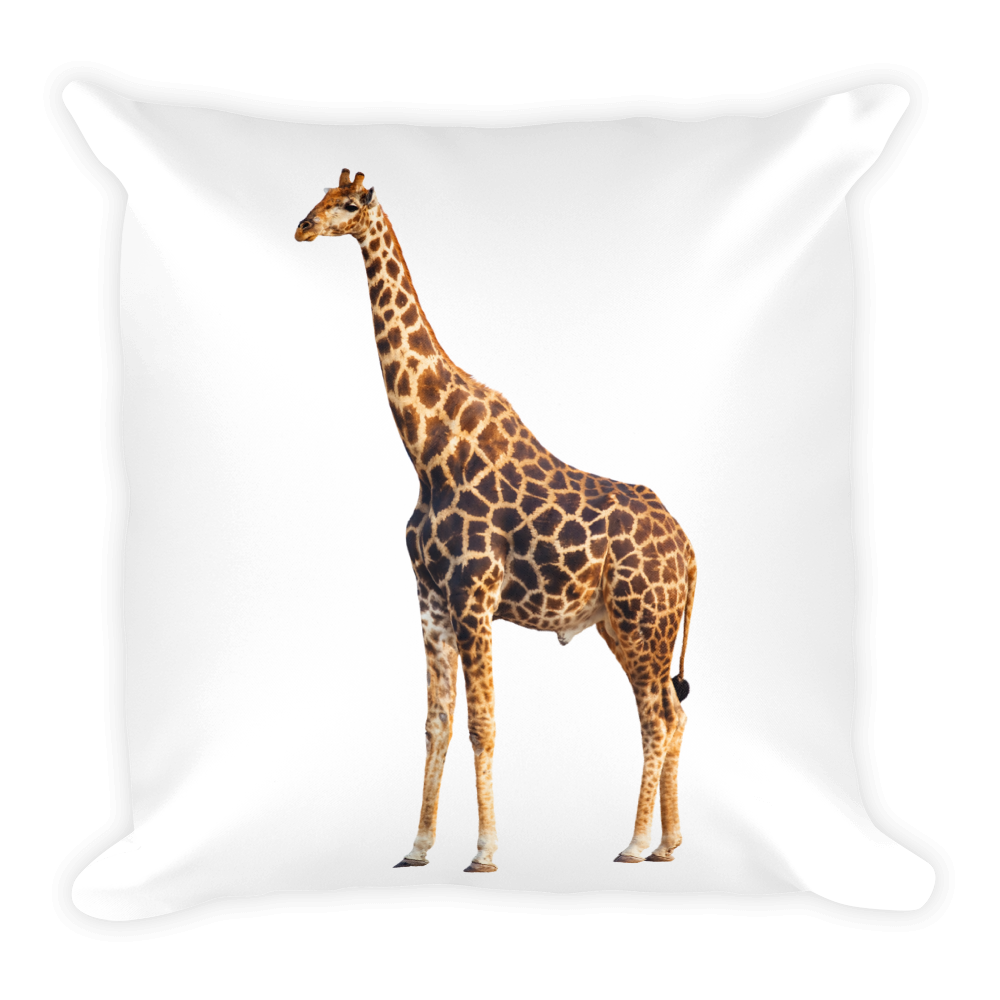 Giraffe Print Square Pillow