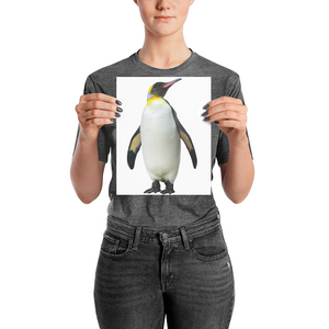 Emperor-Penguin Photo paper poster