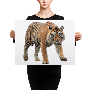 Bengal-Tiger Canvas