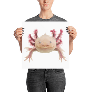 Axolotle Photo paper poster
