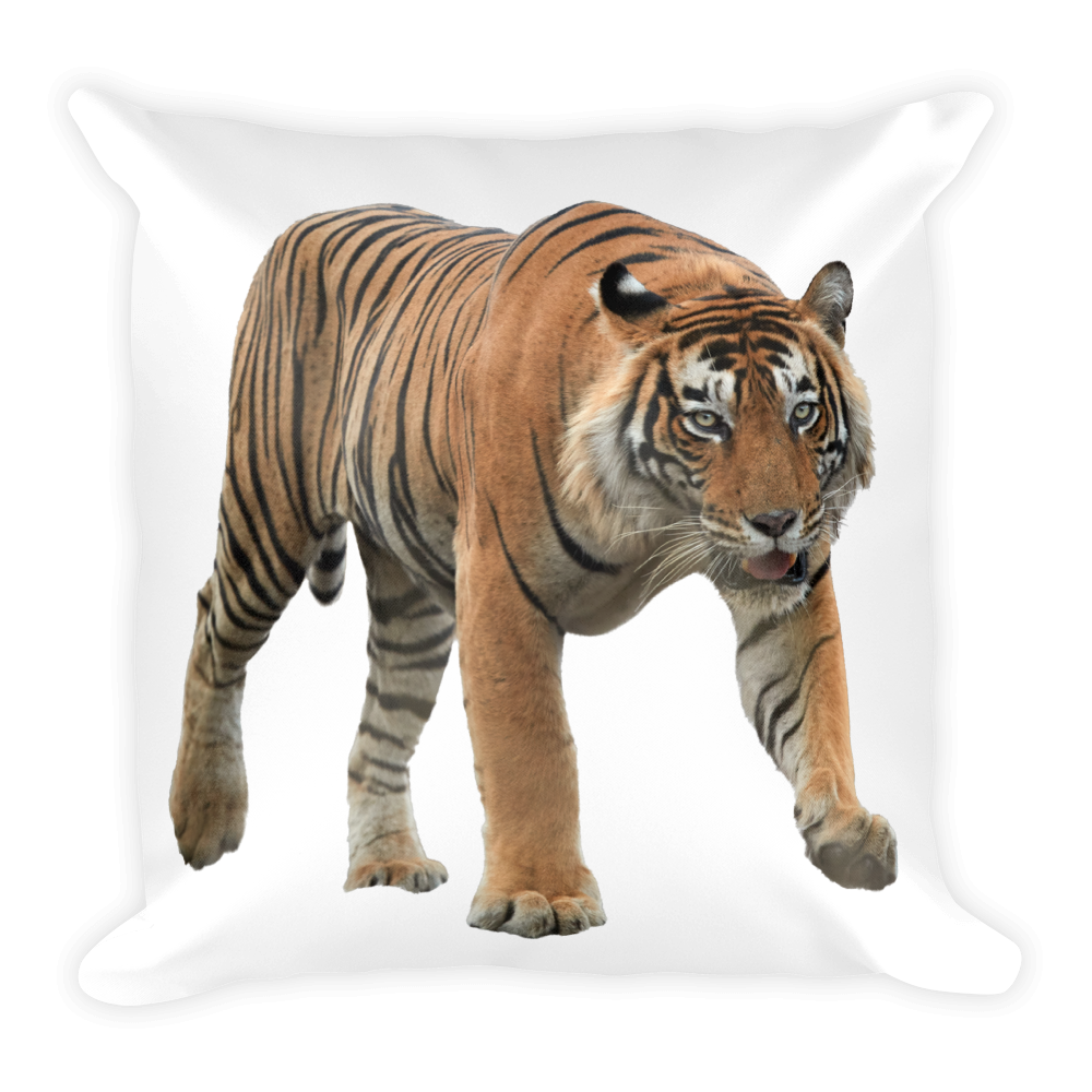 Bengal-Tiger Print Square Pillow