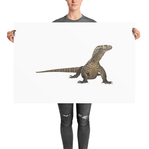 Komodo-Dragon Photo paper poster