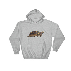 Tortoise- Print Hooded Sweatshirt