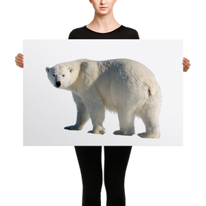 Polar-Bear Canvas