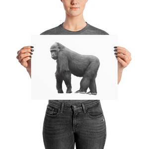 Gorilla Photo paper poster