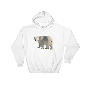 Polar-Bear print Hooded Sweatshirt