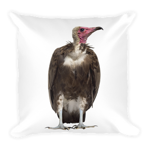 Vulture Print Square Pillow