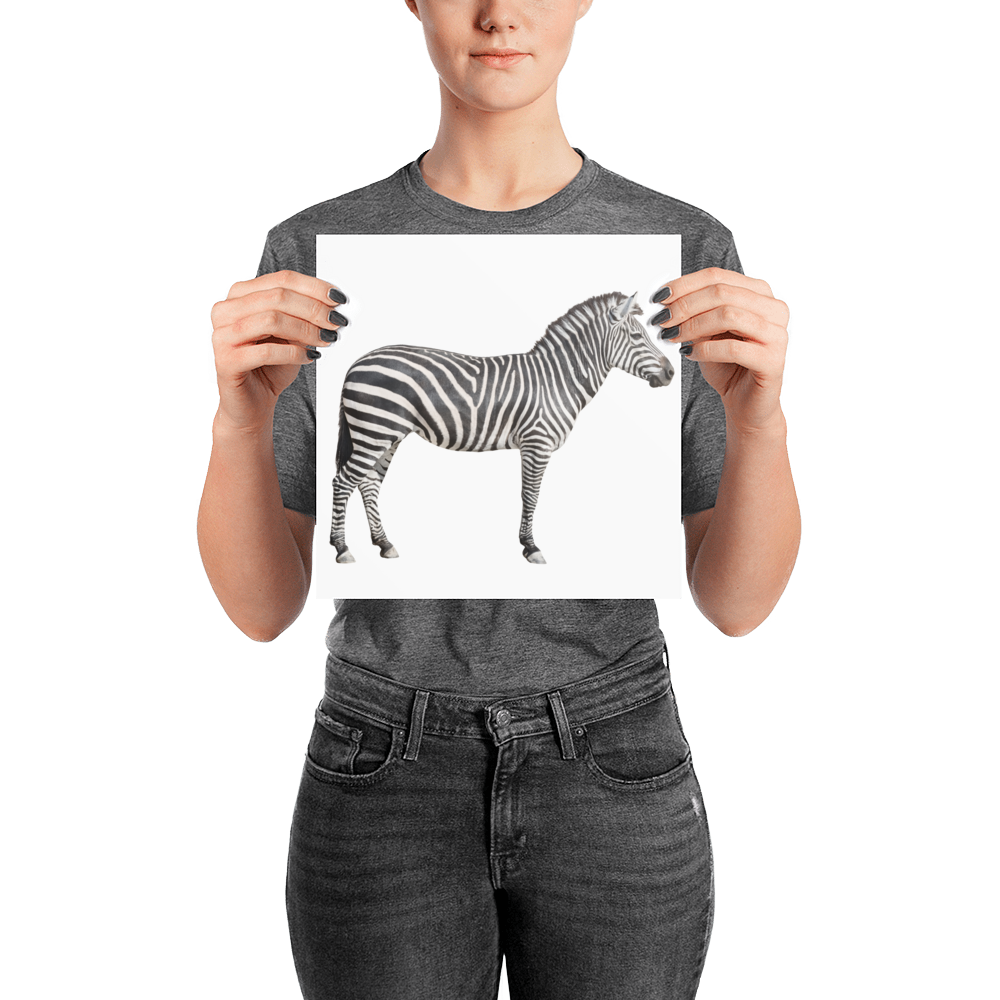 Zebra Photo paper poster