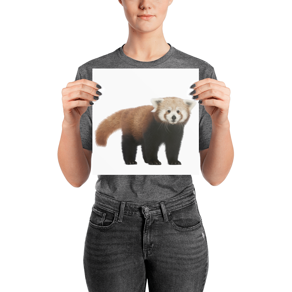 Red-Panda Photo paper poster