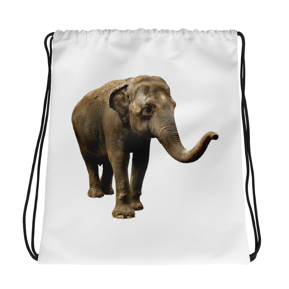 Indian-Elephant Print Drawstring bag