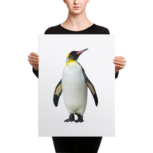 Emperor-Penguin Canvas