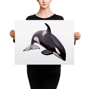 Killer-Whale Canvas