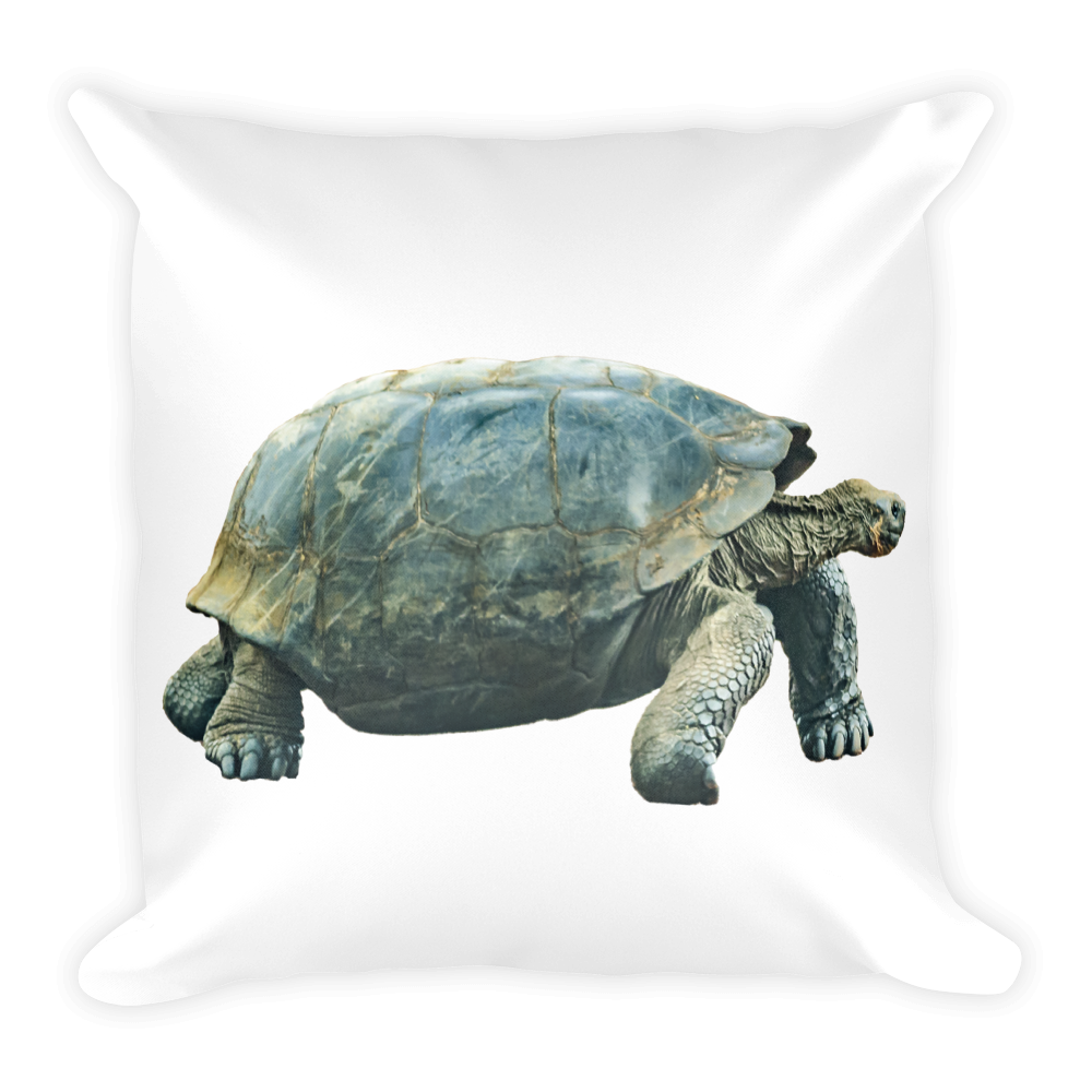 Galapagos-Giant-Turtle Print Square Pillow