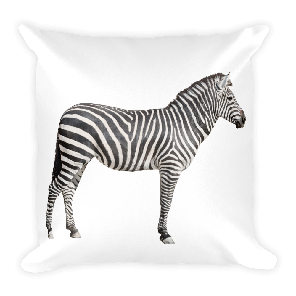 Zebra Print Square Pillow