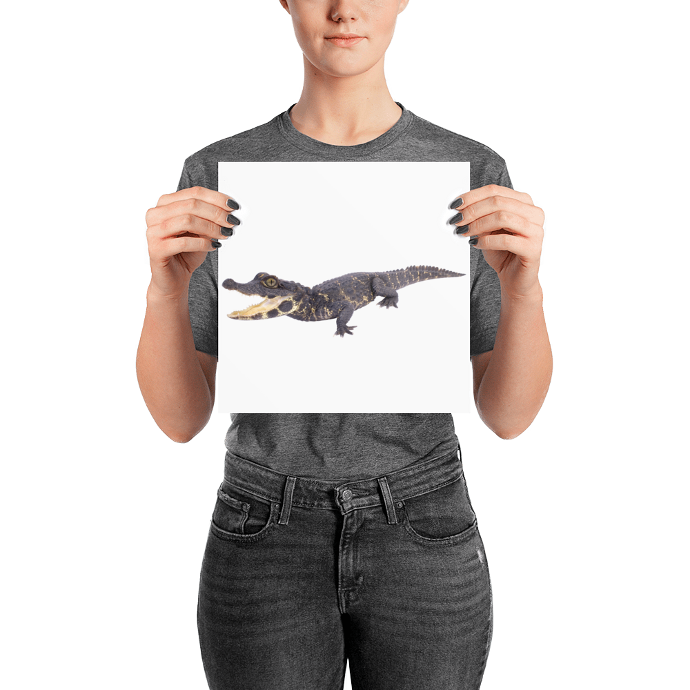 Dwarf-Crocodile Photo paper poster