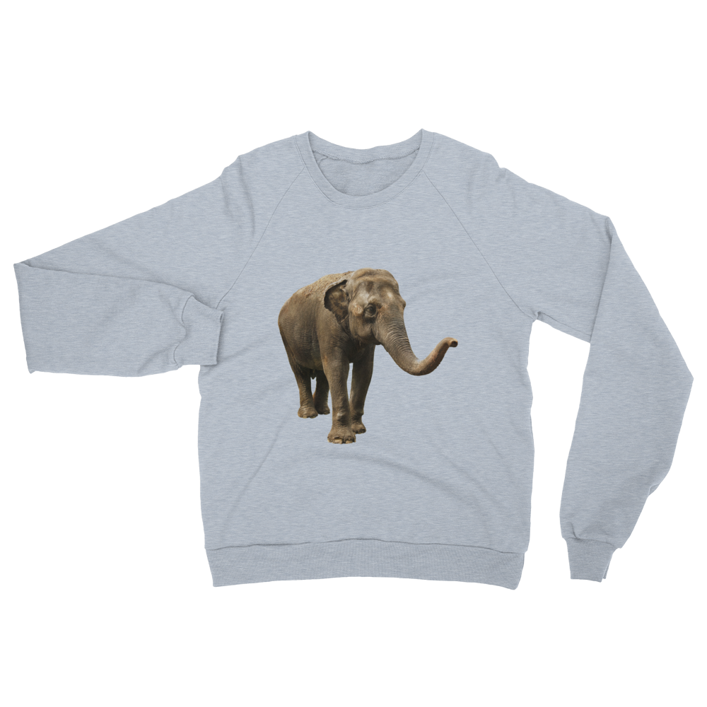 Indian-Elephant print Unisex California Fleece Raglan Sweatshirt