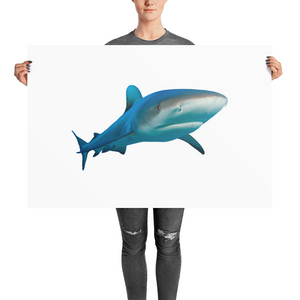 Great-White-Shark Photo paper poster