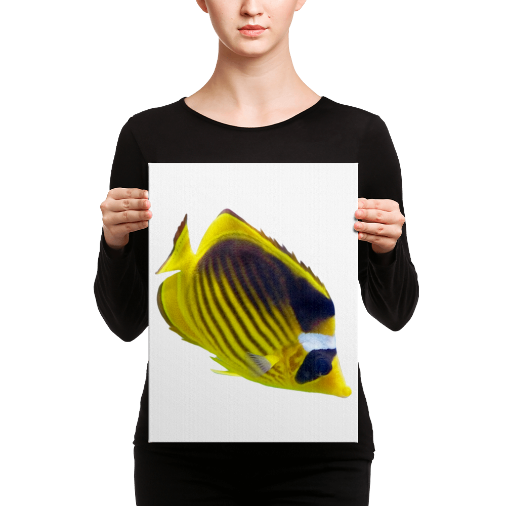 Butterfly-Fish Canvas